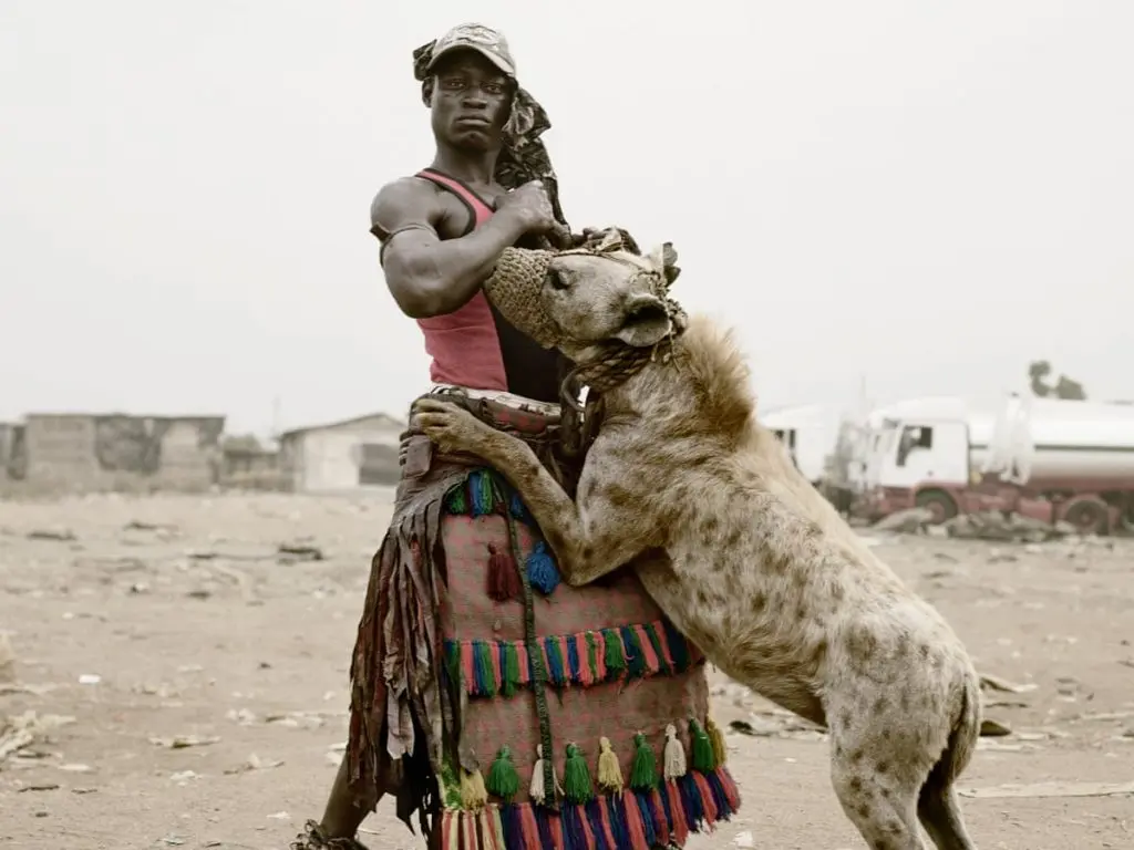 dangerous animals as pets