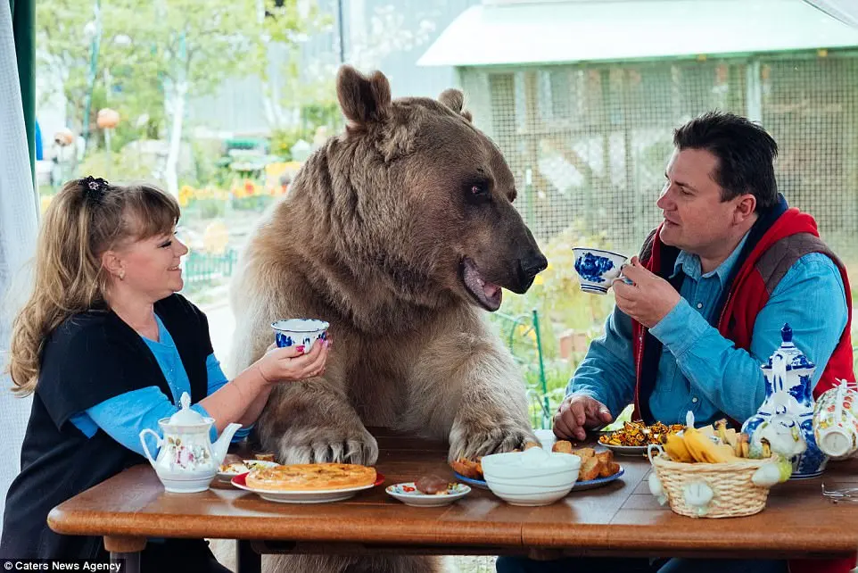 #dangerous_animals_as_pets