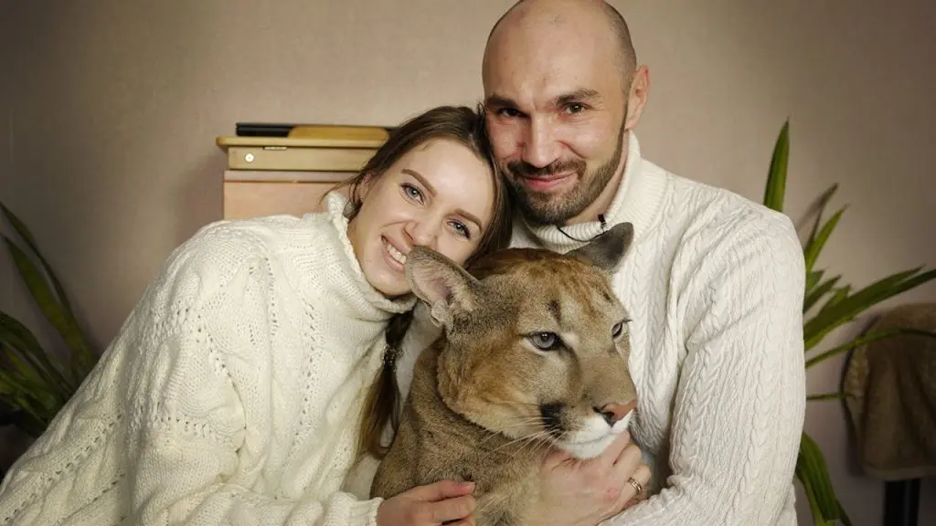 #dangerous_animals_as_pets